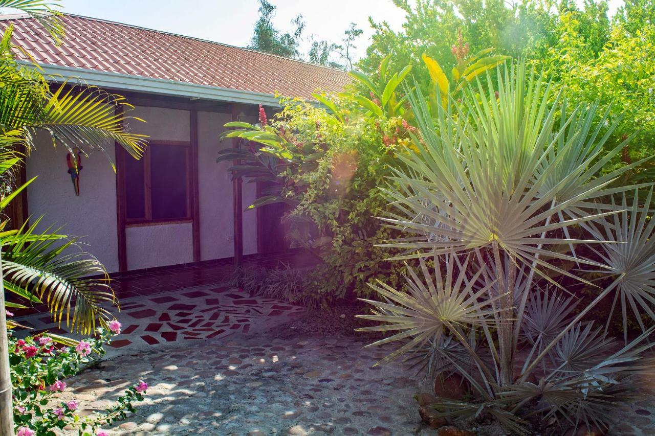 Hostal El Ruby Villavieja Exteriör bild